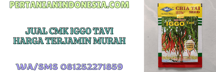 jual,murah,jual cmk iggo tavi,bisi,cap kapal terbang,pertanian indonesia